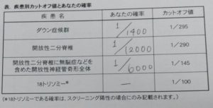 ベビーの性別判明！妊娠中期Ⅰ（１３～１８週）｜アラサー通訳者の妊娠ログ④