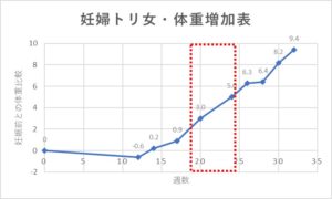 初めての胎動！妊娠中期Ⅱ（１９～２４週）｜アラサー通訳者の妊娠ログ⑤