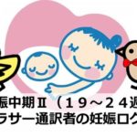 初めての胎動！妊娠中期Ⅱ（１９～２４週）｜アラサー通訳者の妊娠ログ⑤