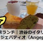 東京ランチ｜渋谷のイタリアン「アンジェパティオ」