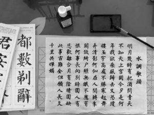 First Year in Beijing, China @ Tsinghua University｜Japanese women with zero Chinese skills studies the language (2)